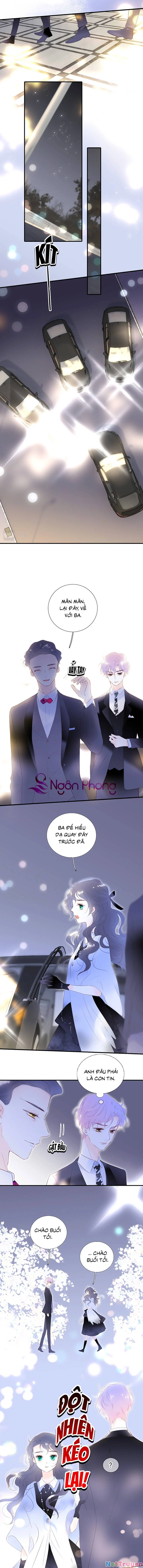 Hoa Bỏ Chạy Với Nhím Rồi Chapter 83 - Trang 5