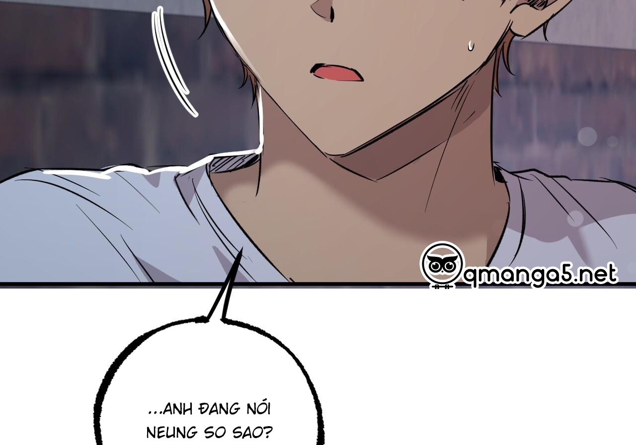 Đàn Thỏ Của Habibi Chapter 60 - Trang 126