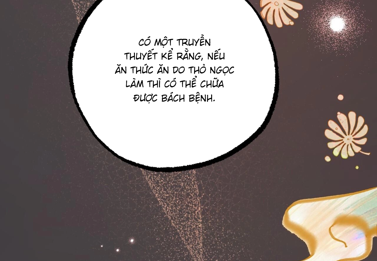 Đàn Thỏ Của Habibi Chapter 60 - Trang 142