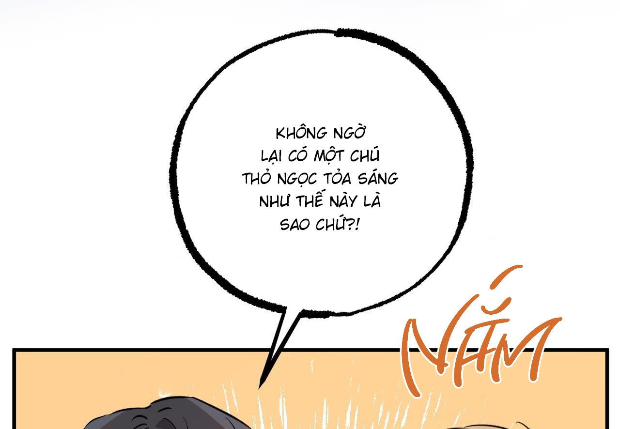 Đàn Thỏ Của Habibi Chapter 60 - Trang 156