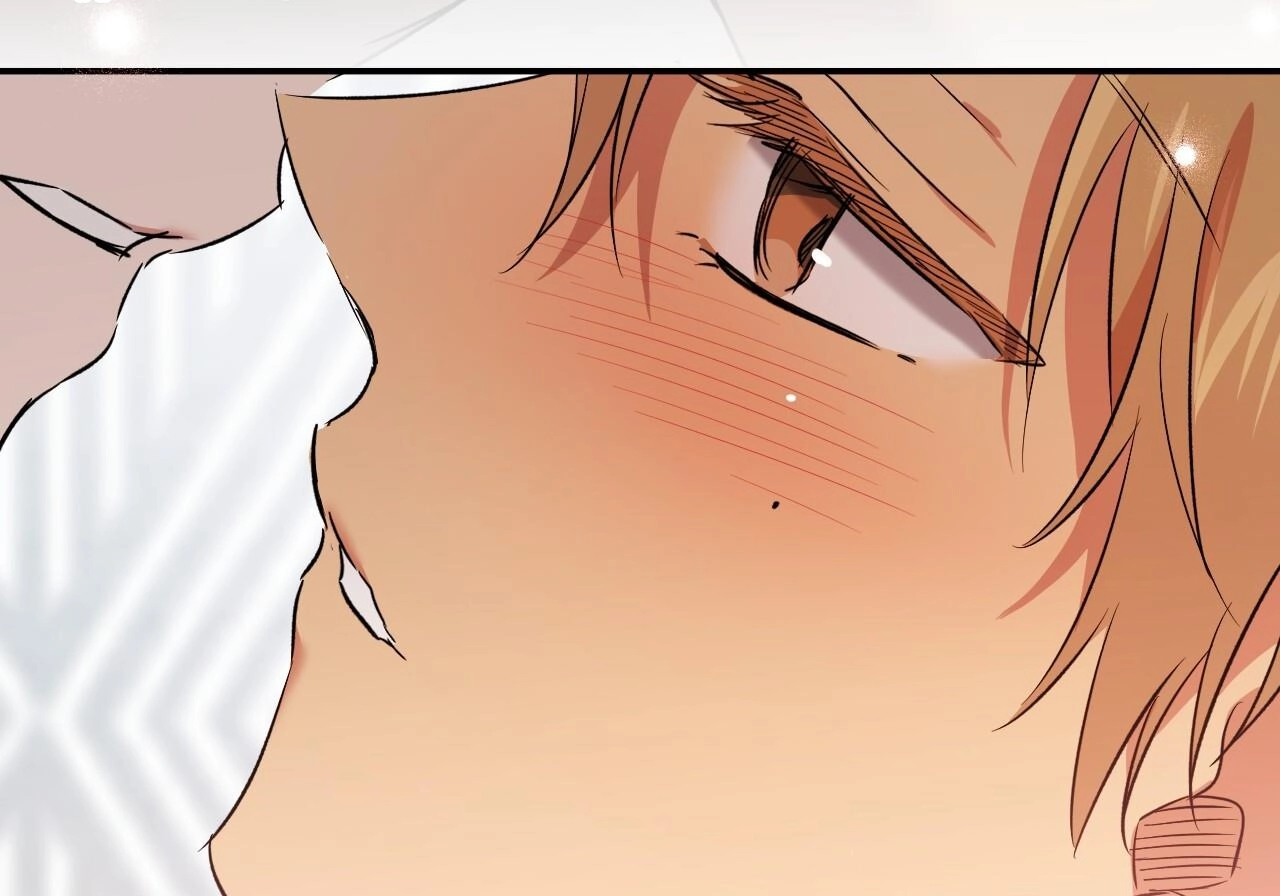 Đàn Thỏ Của Habibi Chapter 60 - Trang 248