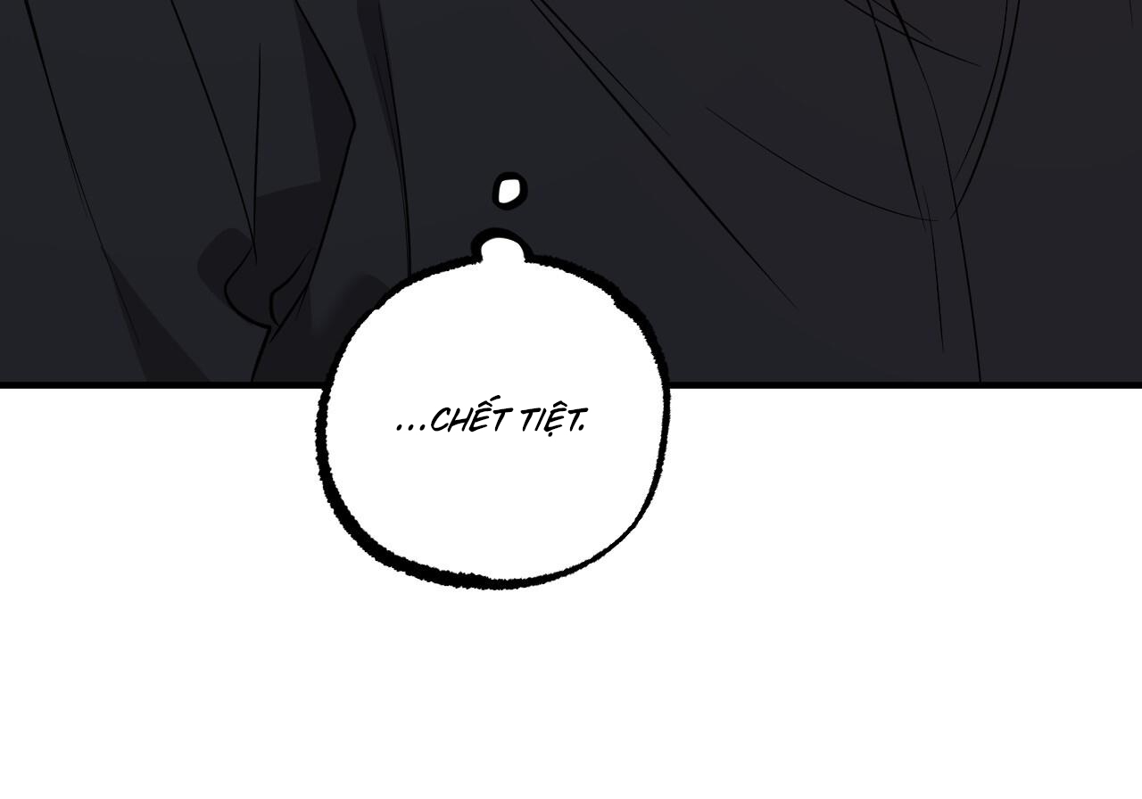 Đàn Thỏ Của Habibi Chapter 60 - Trang 65