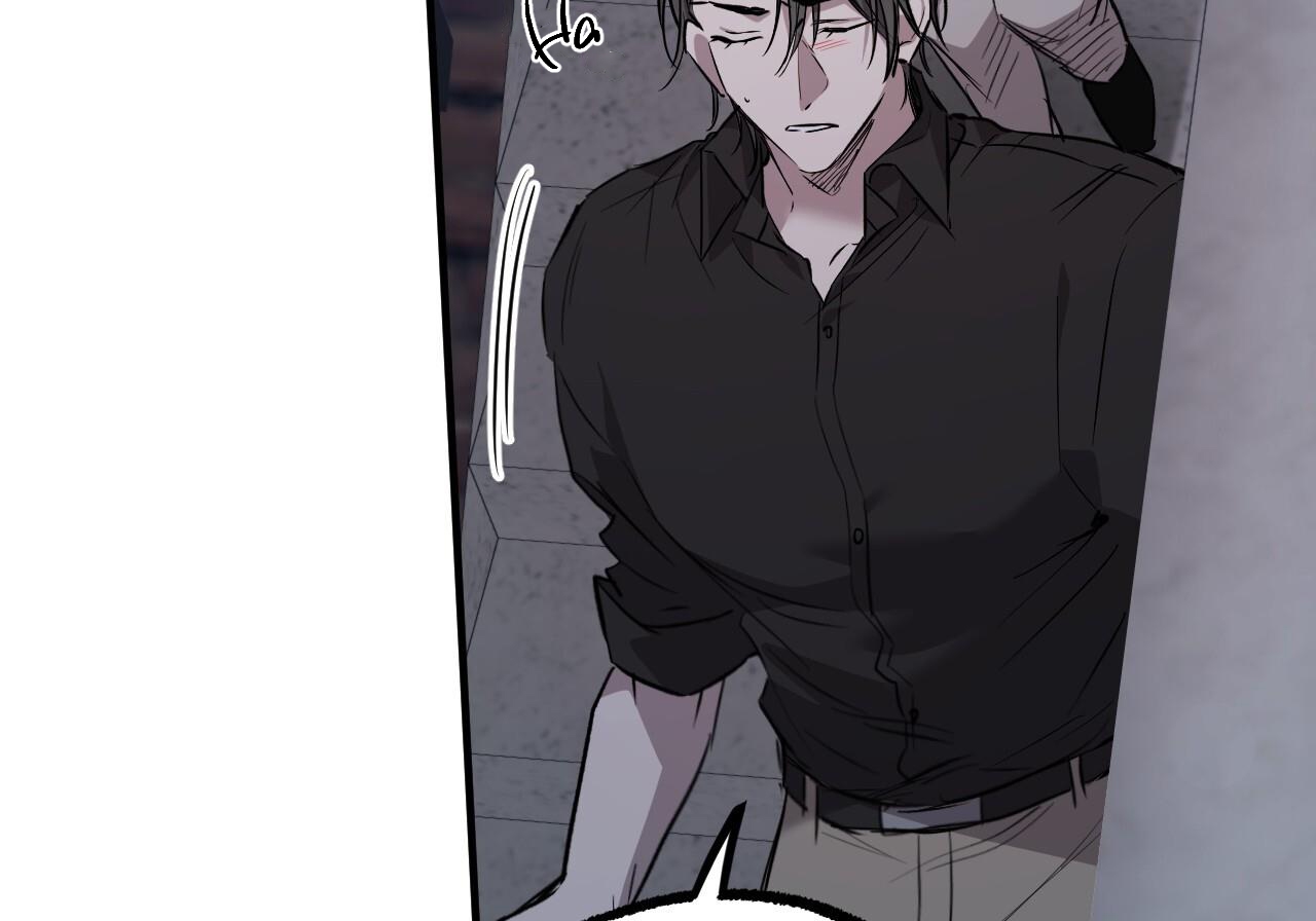Đàn Thỏ Của Habibi Chapter 60 - Trang 74