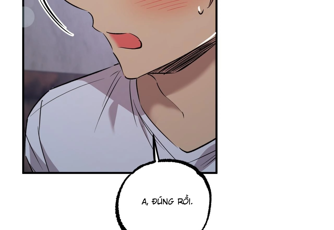 Đàn Thỏ Của Habibi Chapter 60 - Trang 99