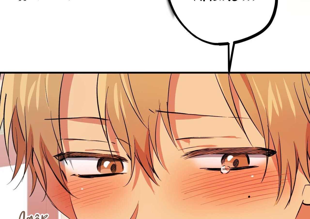 Đàn Thỏ Của Habibi Chapter 63 - Trang 189