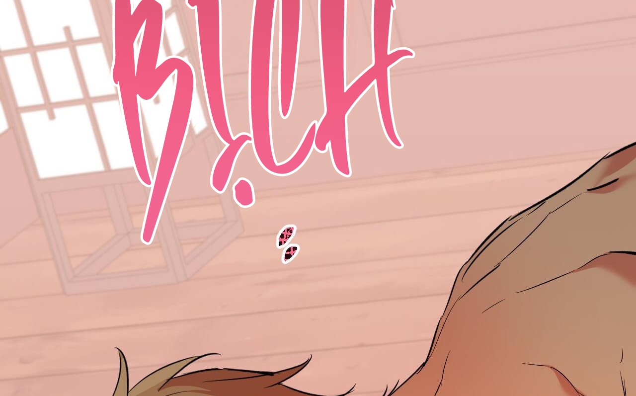 Đàn Thỏ Của Habibi Chapter 63 - Trang 243