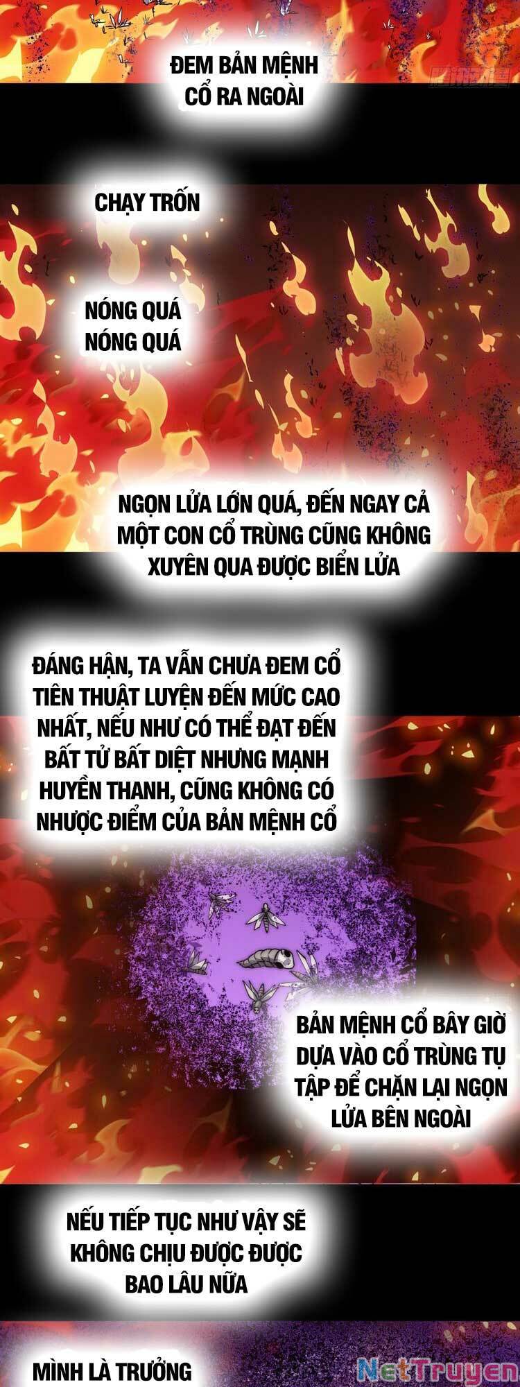 Ta Có Một Sơn Trại Chapter 521 - Trang 21