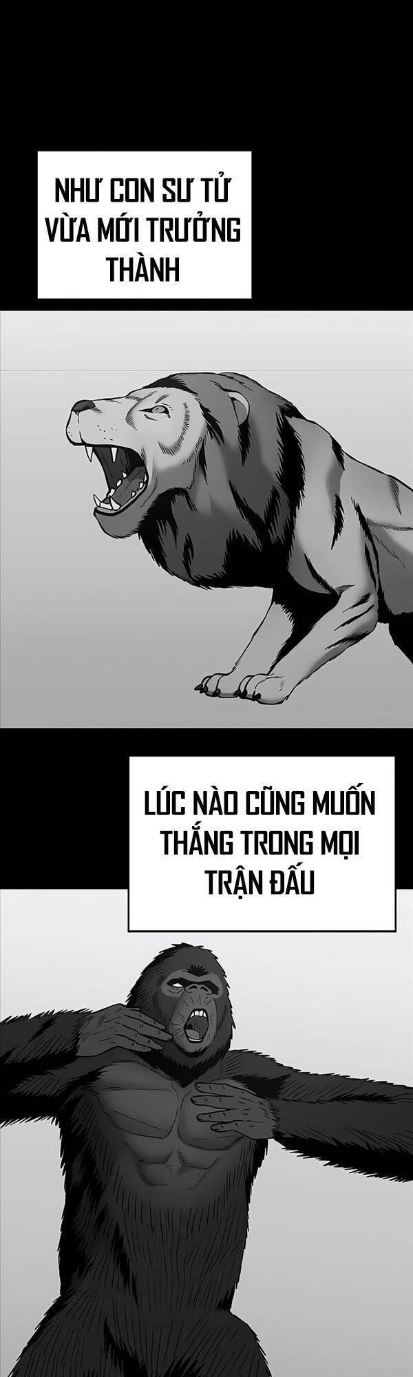 Giang Hồ Thực Thi Công Lý Chapter 49 - Trang 9