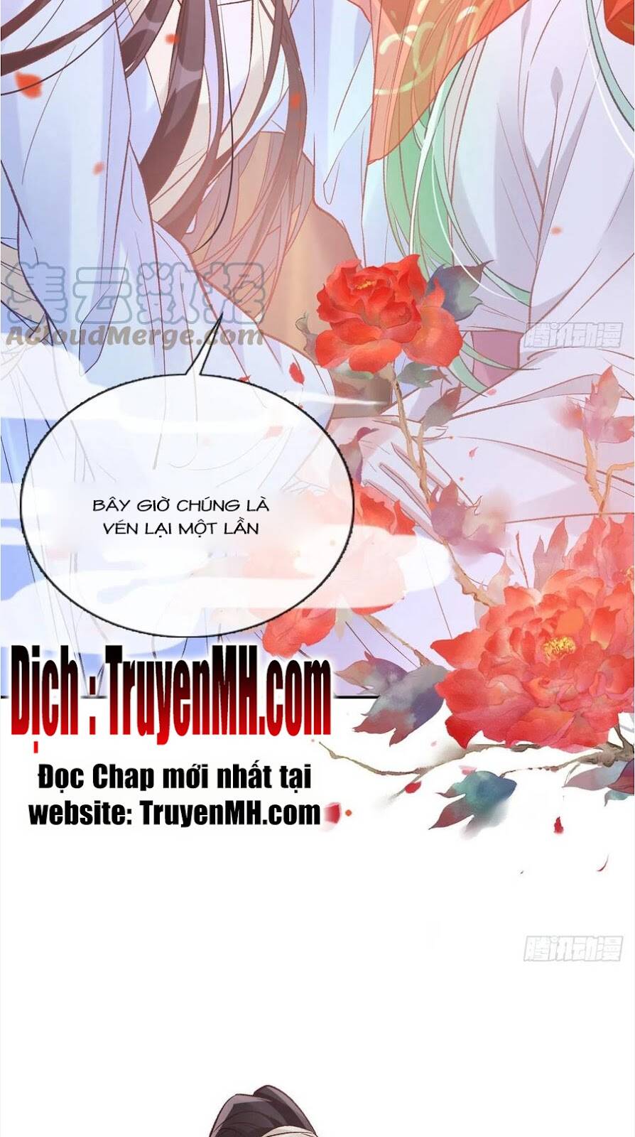 Kiều Mỵ Phu Lang, Tại Tuyến Lục Trà Chapter 101 - Trang 13