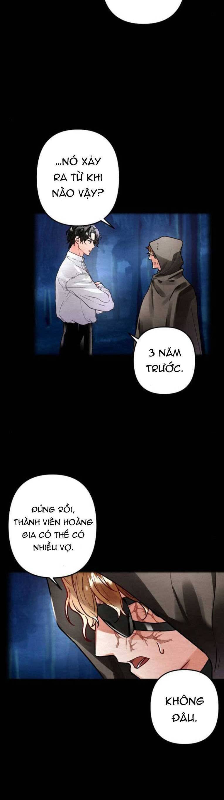 Nàng Hậu Của Tro Tàn Chapter 3 - Trang 23