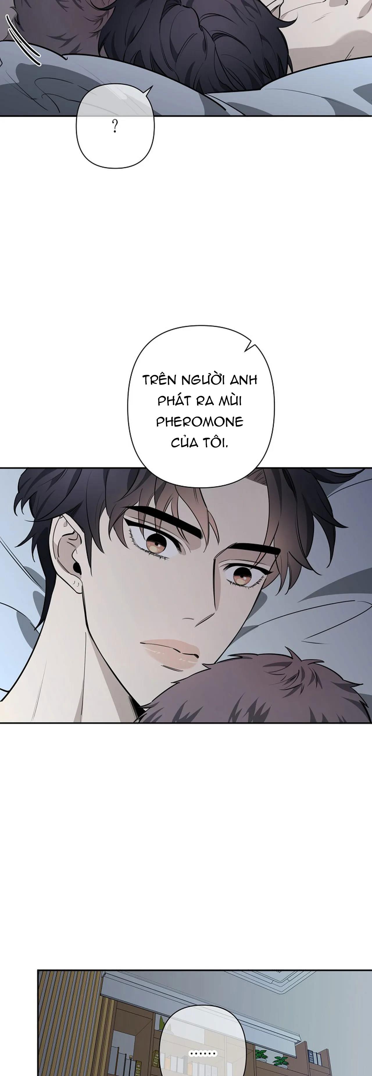 Đêm Dịu Dàng Chapter 32 - Trang 22